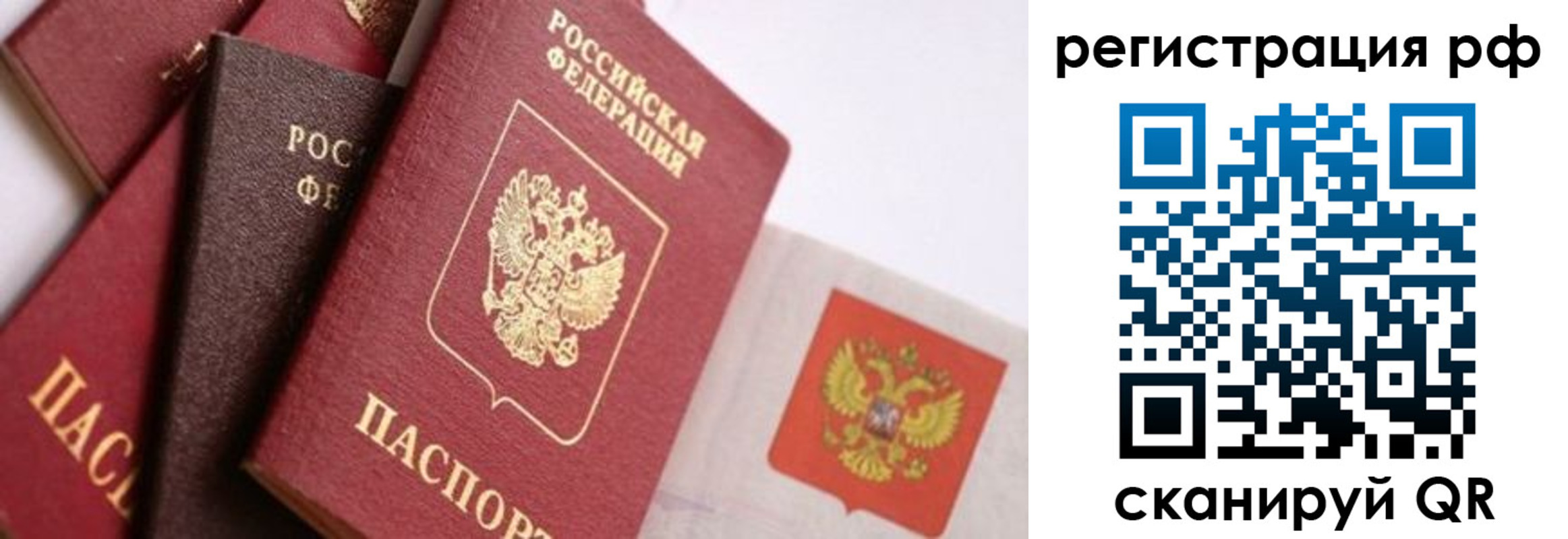 временная регистрация купить в Палласовке